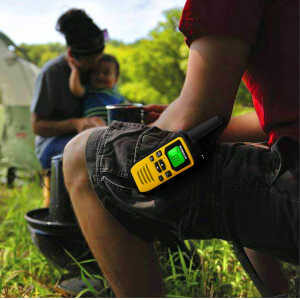 walkie talkie pmr